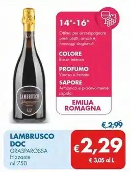 MD Discount Grasparossa lambrusco doc offerta