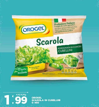 Deco Supermercati Orogel Scarola in Cubellini g 450 offerta