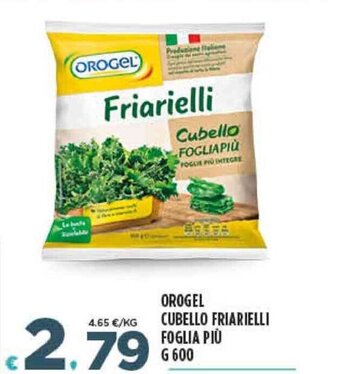 Deco Supermercati Orogel Cubello Friarielli Foglia Più g 600 offerta