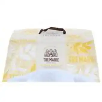 Colomba magnifica