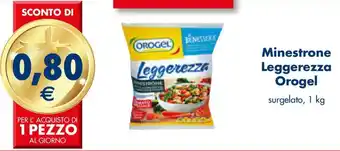 Esselunga Orogel Minestrone Leggerezza 1 kg offerta