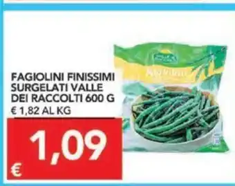TuoDi Fagiolini Finissimi Surgelati Valle Dei Raccolti 600 g offerta