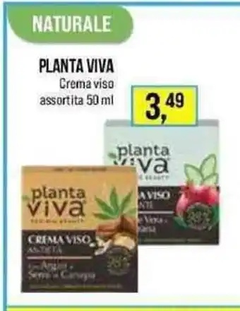 Lillapois Planta Viva Crema viso assortita 50ml offerta