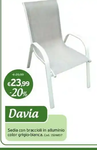 Davia Sedia Con Braccioli In Alluminio Color Grigio-bianca