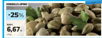 Coop Vongole Lupino offerta