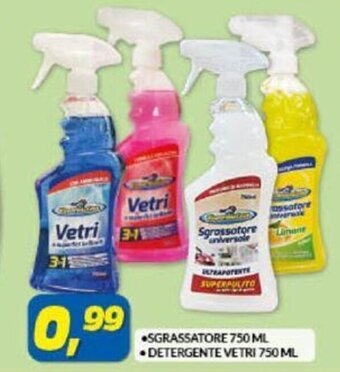 Risparmio Casa Sgrassatore 750 ml / Detergente Vetri 750 ml offerta