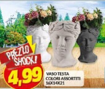 Risparmio Casa Vaso Testa colori assortiti 16x14x21 offerta