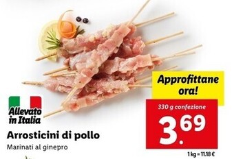 Lidl Arrosticini di pollo offerta