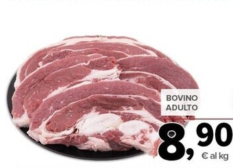 Todis Bovino adulto offerta