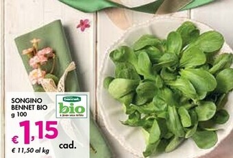 Bennet Bennet bio - songino offerta