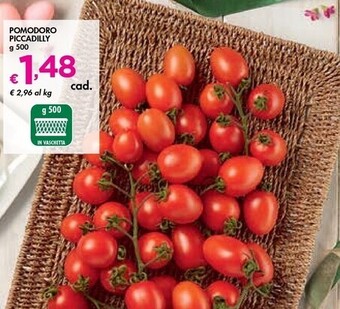 Bennet Pomodoro piccadilly offerta