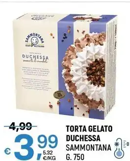 A&O Sammontana torta gelato duchessa offerta