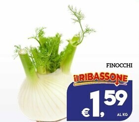 Finocchi