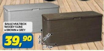 Risparmio Casa Baule Multibox Woody's Line offerta