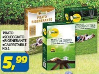 Risparmio Casa Prato soleggiato/rigenerante/calpestabile 1 kg. offerta