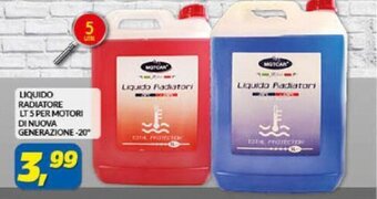 Risparmio Casa Liquido Radiatore lt 5 per motori di nuova generazione -20° offerta