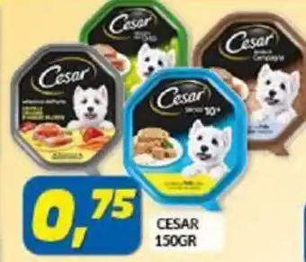 Risparmio Casa Cesar 150gr offerta