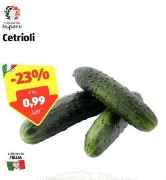 ALDI I Colori del Sapore Cetrioli offerta