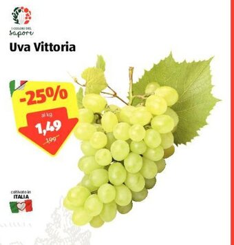 ALDI I Colori del Sapore Uva Vittoria offerta