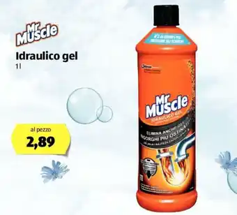 ALDI Mr Muscle Idraulico Gel 1L offerta