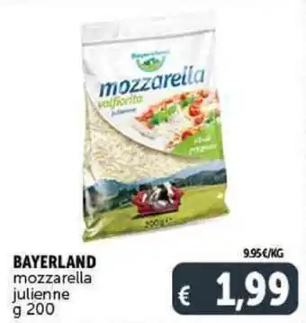 Deco Supermercati Bayernland Mozzarella Julienne g 200 offerta