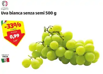 ALDI I Colori del Sapore Uva bianca senza semi 500g offerta
