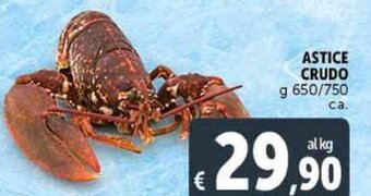 Deco Supermercati Astice Crudo g 650/750 ca. offerta
