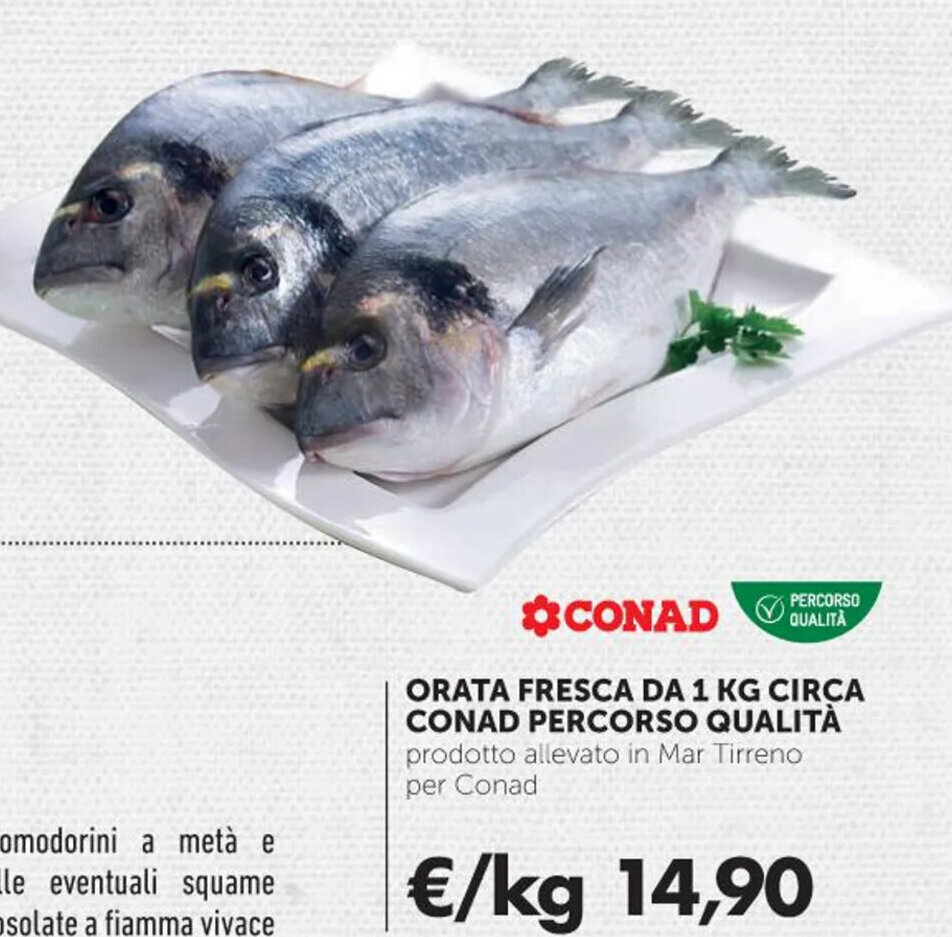 Conad Percorso Qualit Orata Fresca Da Kg Circa Offerta Di Conad