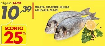 Italmark Orata Grande pulita allevata mare offerta