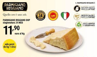 Tigre Parmigiano Reggiano DOP stagionatura 24 mesi offerta