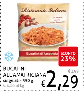 Ecu Discount Bucatini All'Amatriciana surgelati 550g offerta