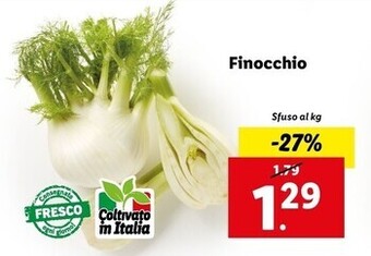 Lidl Finocchio offerta