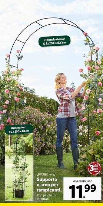 Lidl Livarno home supporto o arco per rampicanti offerta