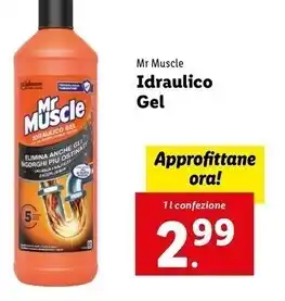 Lidl Mr muscle idraulico gel offerta
