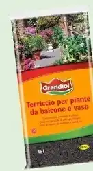 Lidl Grandiol - terriccio per piante da balcone e vaso offerta