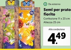 Semi per prato fiorito