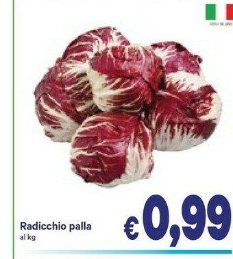 A&O Radicchio Palla offerta