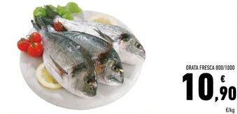 Conad Orata Fresca 800/1000 offerta