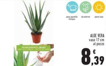 Conad Aloe Vera Vaso 17 cm offerta