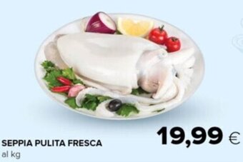 Tigre Seppia Pulita Fresca offerta