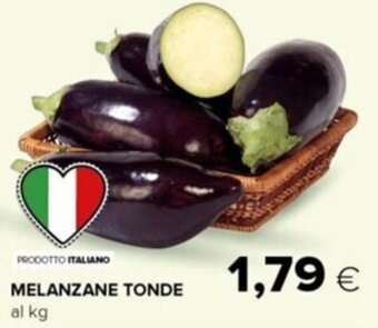 Tigre Melanzane Tonde offerta