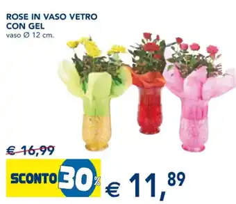 Esselunga Rose in vaso vetro con gel offerta