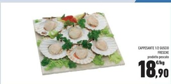 Cappesante 1 / 2 Guscio Fresche