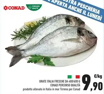 Conad Conad Orate Italia Fresche offerta