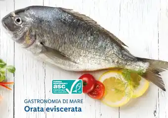 Lidl Gastronomia di Mare Orata eviscerata offerta