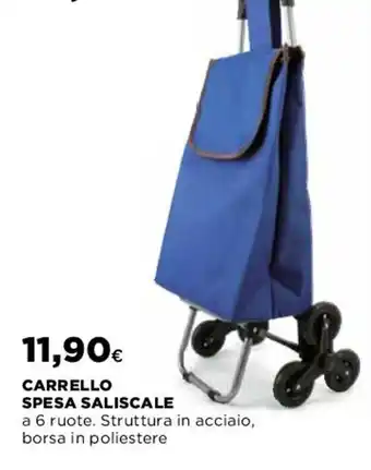 Carrello Spesa Saliscale
