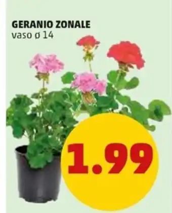 PENNY Geranio Zonale vaso ø 14 offerta