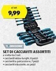 ALDI Workzone set di cacciaviti assortiti offerta