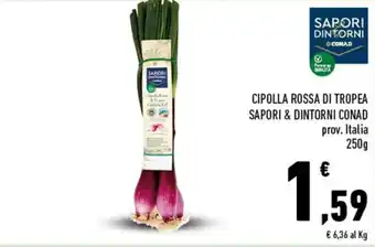 Conad Conad Sapori & Dintorni Cipolla Rossa di Tropea 250g offerta