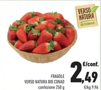 Conad Verso Natura Bio Conad Fragole confezione 250 g offerta